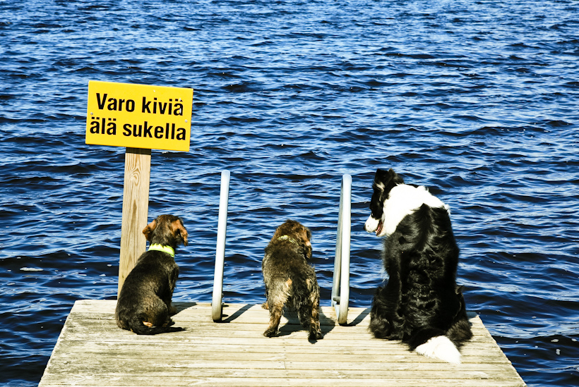 22 hanna_virtanen_opetustuokio